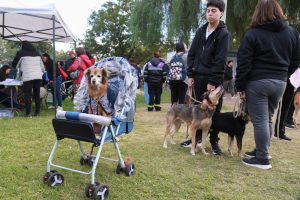 WhatsApp Image 2026-04-25 at 15.37.15 (1)