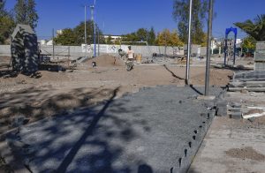 Plaza B higuerita (4)