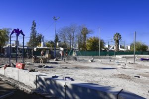 Plaza B higuerita (5)