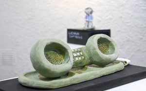 Muestra (13)