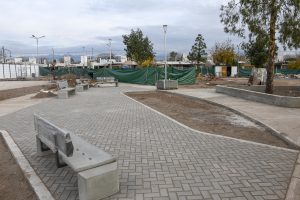 Plaza higuerita (5)
