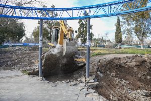 Plaza M Lebenshon (7)