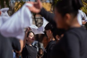 Muestra Escuela de Danzas-10