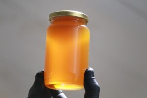 Apicultura (5)