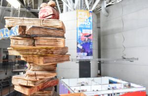 Feria del Libro (5)