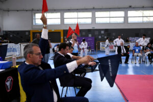 Taekwondo_3
