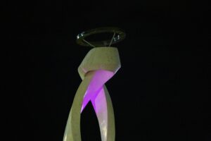 Virgen Iluminada Rosa Lila (2)