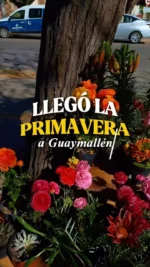 Publicación de Guaymallén