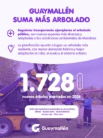 Publicación de Guaymallén