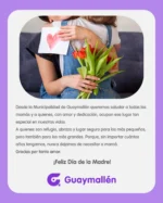 Publicación de Guaymallén